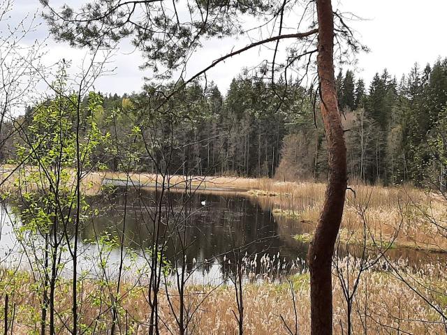 Ленинградская область, Луга г.