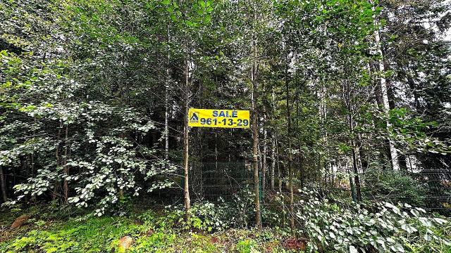 Ленинградская область, Западная Лица пос., Рассветная ул.