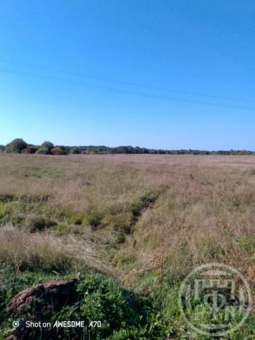 Хомировичи дер.