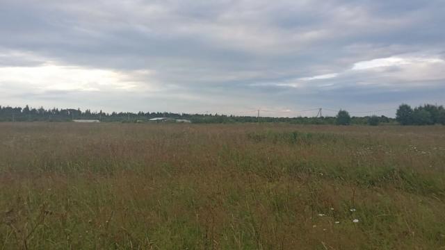 Ленинградская область, Шелково дер.