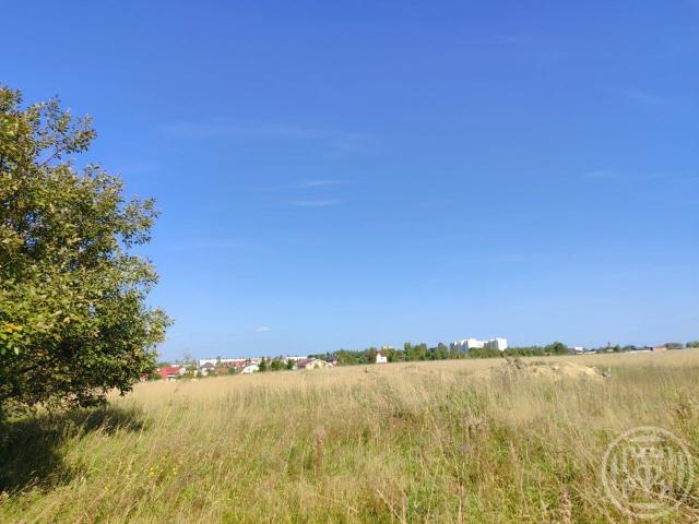 Романовка пос.