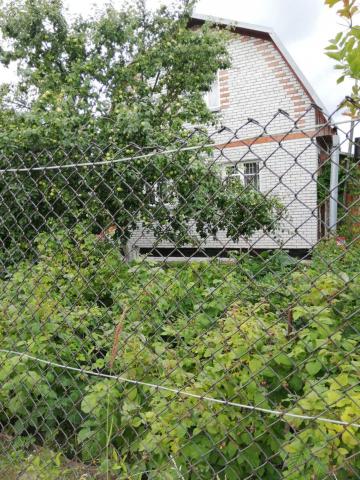 Ленинградская область, Предпортовец-2 СНТ