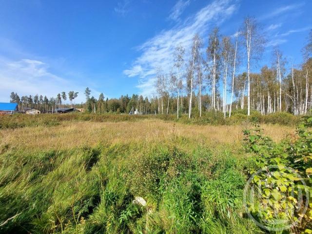 Новое Токсово массив, Новое Токсово снт