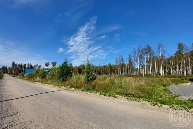 Новое Токсово массив, Новое Токсово снт