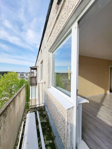 Ленинградская область, Горбунки дер., 12