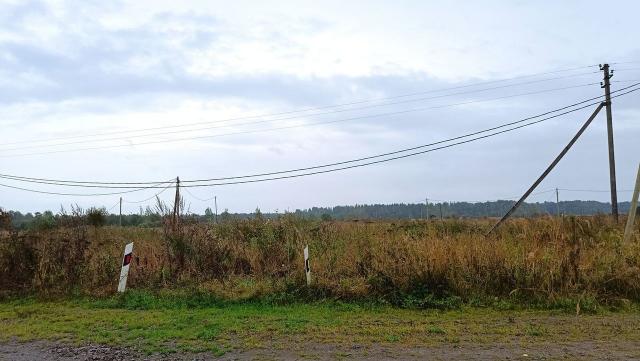 Ленинградская область, Андрианово дер.