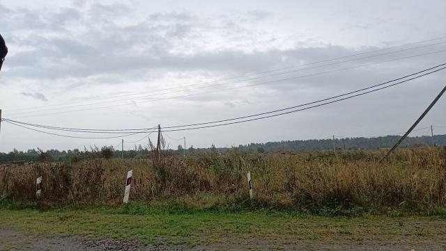 Ленинградская область, Андрианово дер.