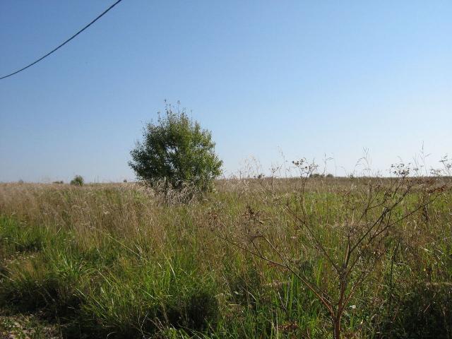 Ленинградская область, Дятлицы пос.