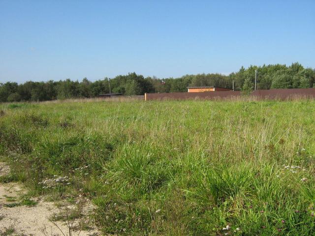 Ленинградская область, Дятлицы пос.