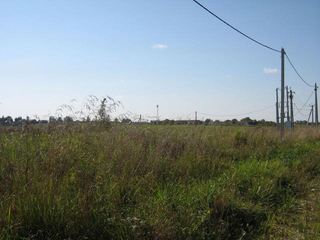 Ленинградская область, Дятлицы пос.