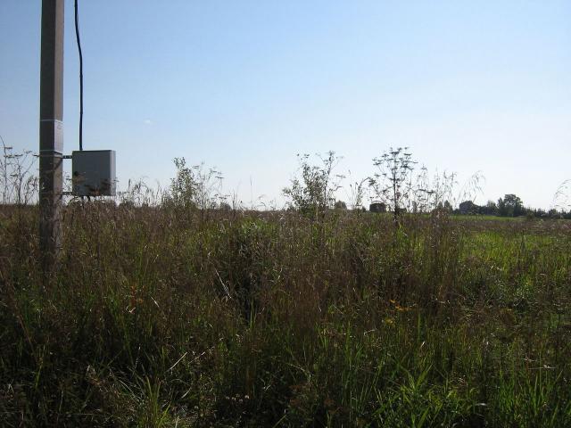 Ленинградская область, Дятлицы пос.