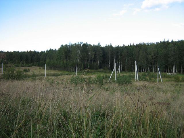 Ленинградская область, Дятлицы пос.