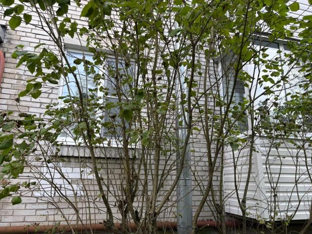 Суворовская ул., 13