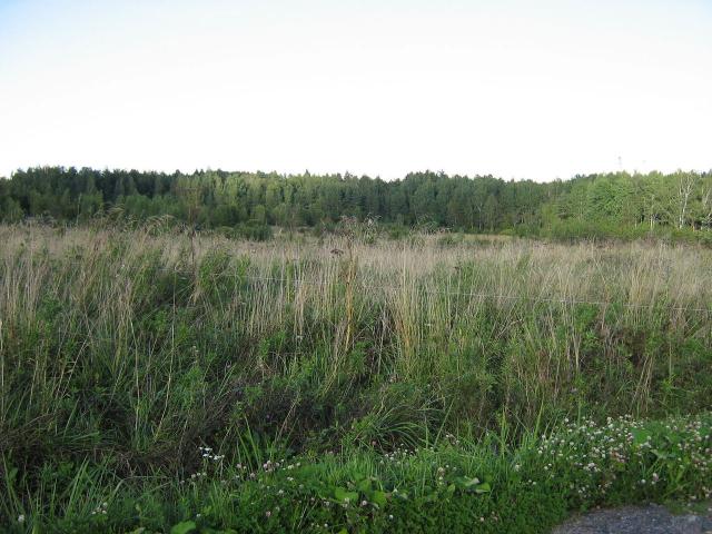 Ленинградская область, Дятлицы пос.