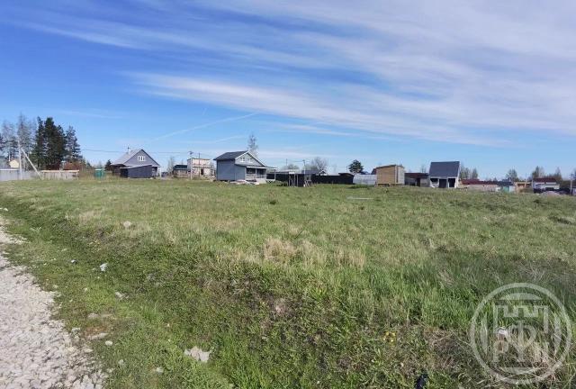 Порзолово днт