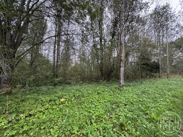 Колодно дер.