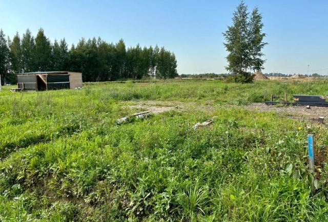 Всеволожский район, Массив Скотное территория