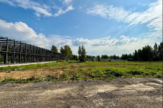 Всеволожский район, Массив Скотное территория