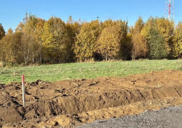 Всеволожский район, Массив Скотное территория