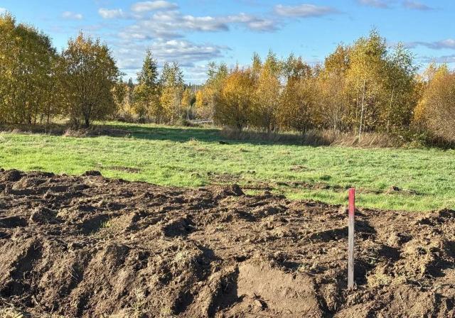 деревня Скотное, Ленинградская улица