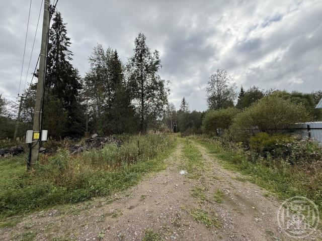 Первомайское пос.