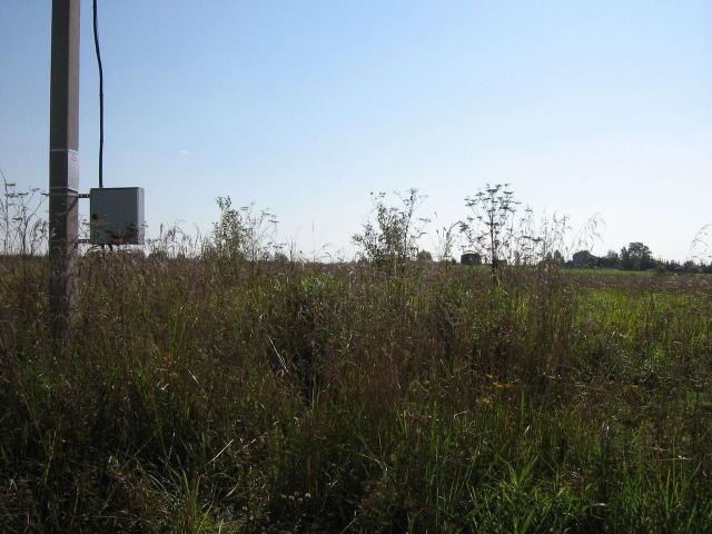 Ленинградская область, Дятлицы пос.