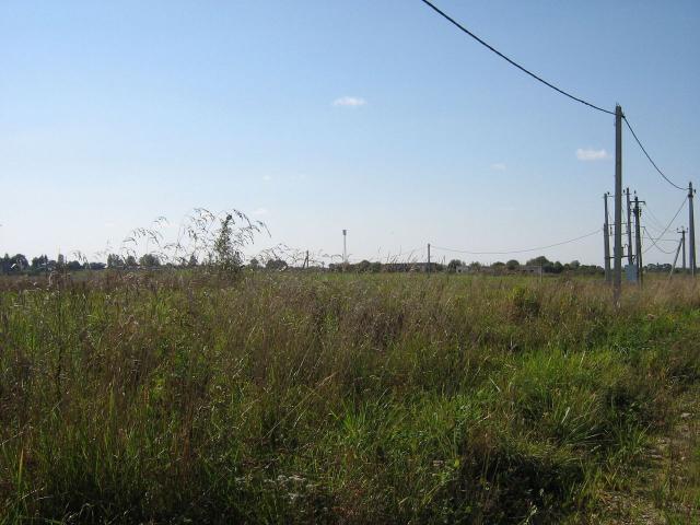 Ленинградская область, Дятлицы пос.