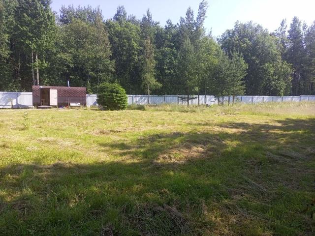 деревня Светлое, Береговая улица