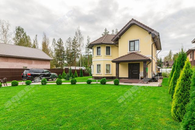 Ленинградская область, Лес-поле КП, 11