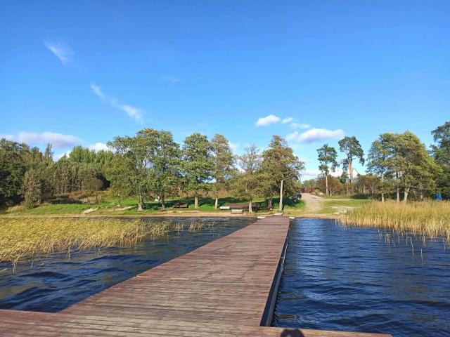 Ленинградская область, Соловьёвские Дачи ДНП