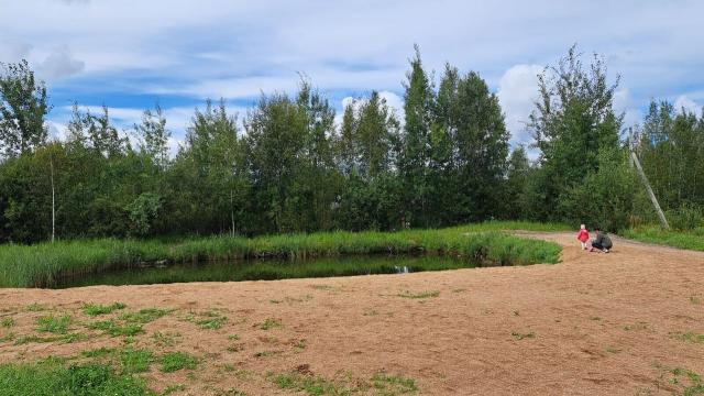 Ленинградская область, Волшебный Сад ДНП, 22