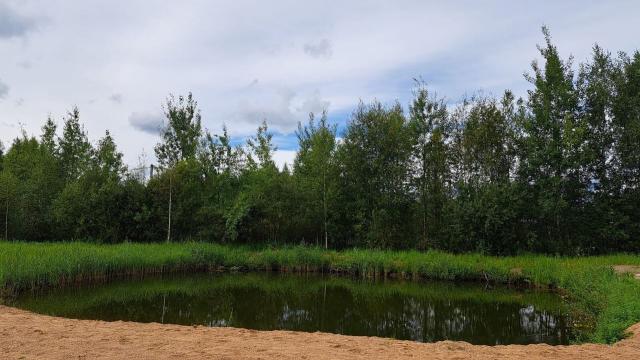 Ленинградская область, Волшебный Сад ДНП, 23