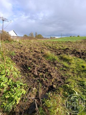 Крюково дер.