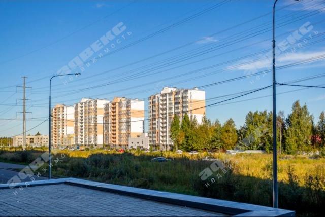 Муринская дорога, 8к2