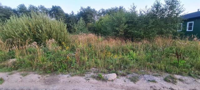 Ленинградская область, Горная Шальдиха дер., Березовая ул., 41