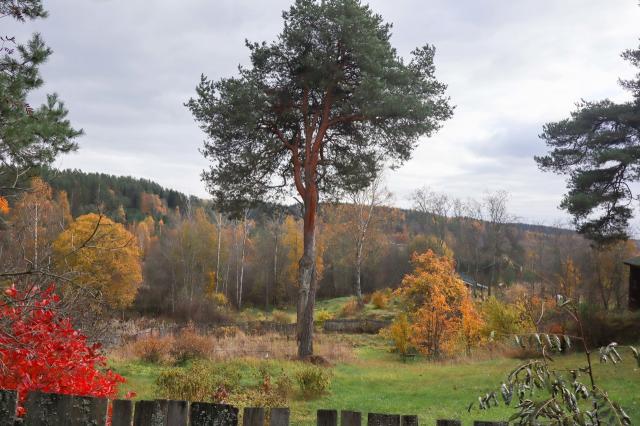 Зайцево поселение, 36