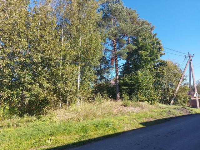 Ленинградская область, Всеволожск г., Ясеневая ул., 42