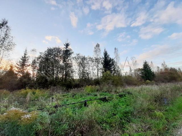 снт. Металлист