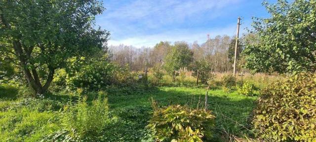 Большие Озертицы д, 8