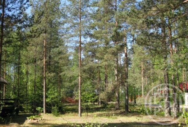 Ильичево пос., д 18