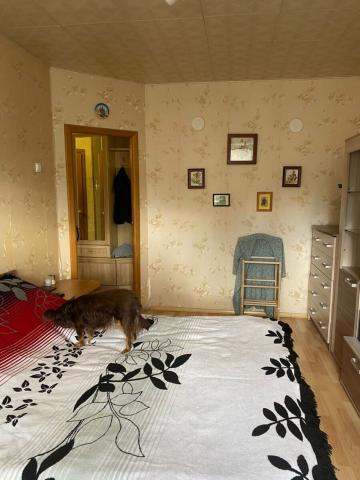 Красное Село, Ленина пр., 63к1