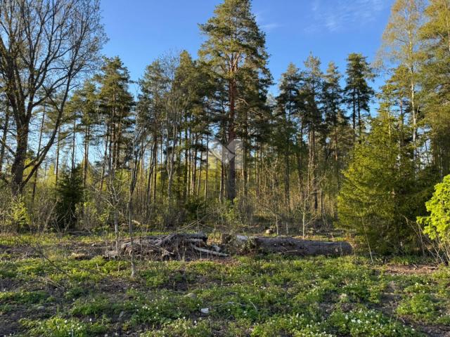 Пески пос, 18