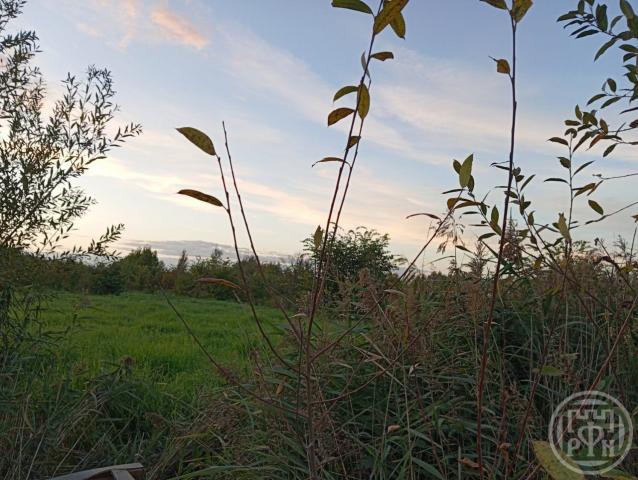 Шушары пос.