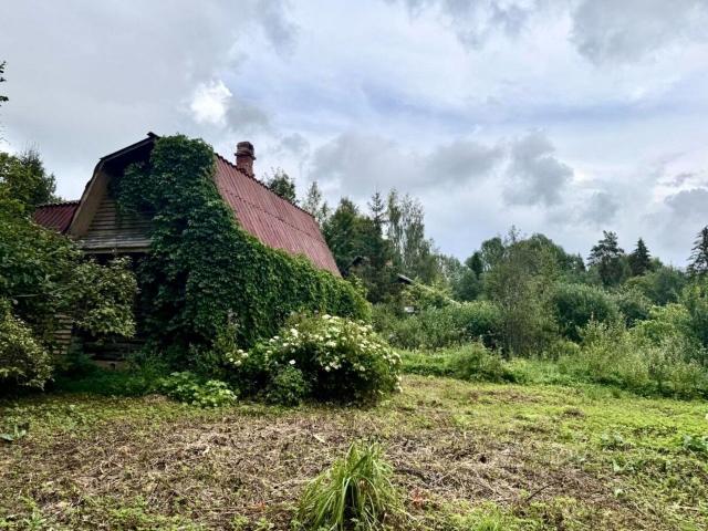 Ленинградская область, Великое Село дер.