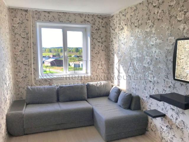 д. Оржицы, 25