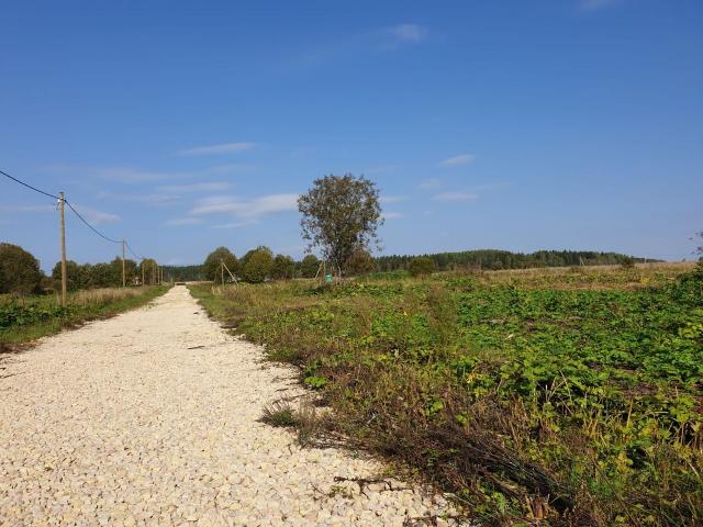 Ленинградская область, Пустошка дер.