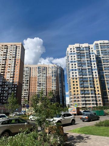 Коломяжский проспект, 11с1