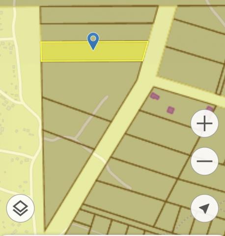 Ленинградская область, Виллозское городское поселение