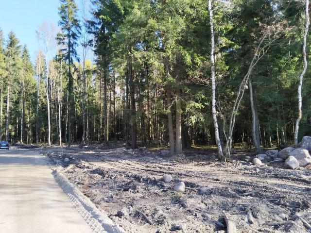 Ленинградская область, Всеволожск г.