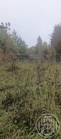 Турово дер.